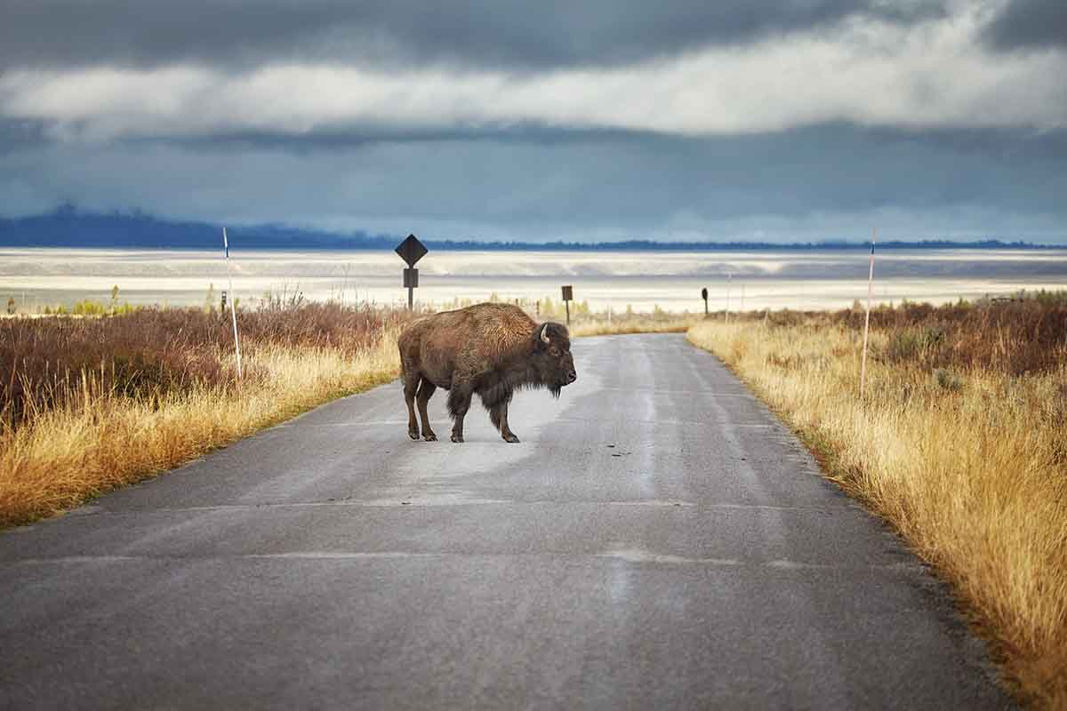 Wyoming